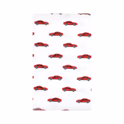 Hudson Baby Unisex Baby Cotton Flannel Burp Cloths  Going Places 10 Pack  One Size