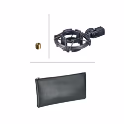 Audio-Technica AT2035 Cardioid Condenser Microphone Bundle with Pop Filter  XLR Cable  and Austin Bazaar Polishing Cloth