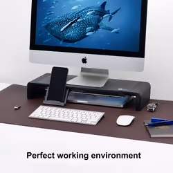 Siig CE-MT2P12-S1 monitor mount / stand 52.1 cm (20.5") Desk Black
