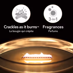 WoodWick Ellipse Scented Candle  Warm Woods Trilogy  16oz - Up to 50 H