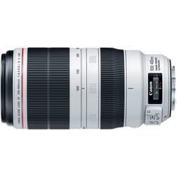 Canon EF 100-400mm f/4.5-5.6L IS II USM Lens, Lens Only