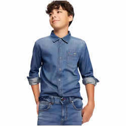 Tommy Hilfiger Boys' Long Sleeve Woven Button-Down Shirt  Maxwell Deni