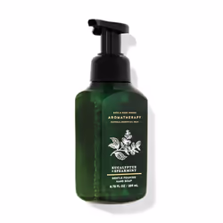 Bath & Body Works Gentle Foaming Hand Soap Eucalyptus Spearmint Stress Relief