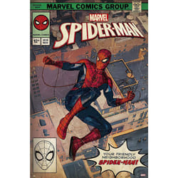 Spider Man Comic Book Cover Poster  Size 24x36 (SpiderMan)