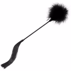 Natural Feather Tickler Fur Brush Duster