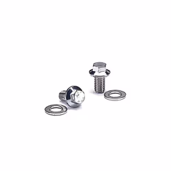 ARP 4542001 Stainless 300 12-Point Intake Manifold Bolt Kit