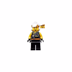 LEGO Ninjago: Teen Wu (in Dragon Hunter Disguise) with Battle Staff