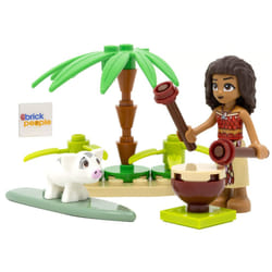 LEGO Disney Princess Moana Combo Pack: Moana Minfiigure  Pua The Pig  Jungle Drum and Surf Board