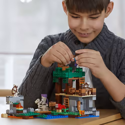 LEGO Minecraft The Skeleton Attack 21146 Building Kit (457 Piece)