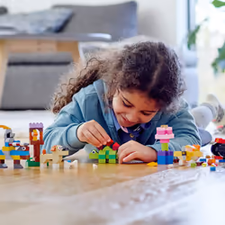 LEGO Classic Basic Brick Set 11002 Building Kit (300 Pieces)