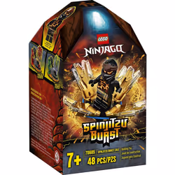LEGO NINJAGO Spinjitzu Burst - Cole 70685 NINJAGO Accessory Set Buildi