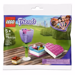 LEGO Friends Flower and Chocolate Box Build 30411 (75 Pcs)