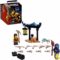 LEGO NINJAGO Epic Battle Set - Cole vs. Ghost Warrior 71733 Ninja Batt