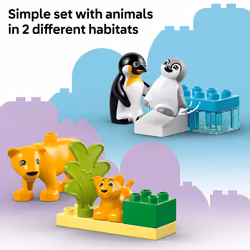 LEGO DUPLO Town Wild Animal Families Penguins & Lions Building Toy Playset - Preschool Learning & Educational Animal Toy for Toddlers  Boys and Girls