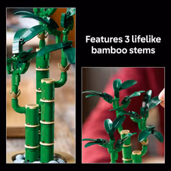 LEGO Botanicals Lucky Bamboo Building Set - Artificial Plant for Indoor Home D?cor  Adults Ages 18+ - Fake Plant Decoration for Table  Desk  Office -