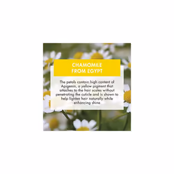 Blond Highlights Shampoo with Chamomile (400ml)