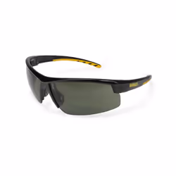 DEWALT DPG99-2PC Safety Glasses Multicolor