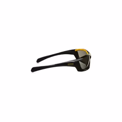 Stanley RSY180Â âÂ Protective Work Glasses