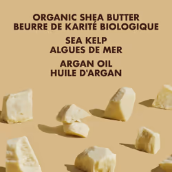 SheaMoisture Raw Shea Butter Deep Treatment Masque Hair Treatment  12 Ounce