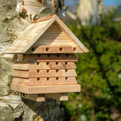 Wildlife Community SBH2 Wall-mounted Wood