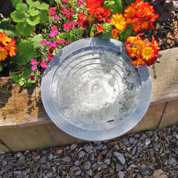 Wildlife Community OASIS2 Silver