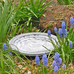 Wildlife Community OASIS2 Silver