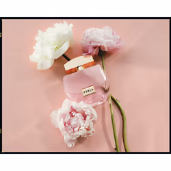 Furla Autentica Eau De Parfum 50 ml
