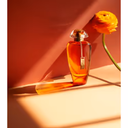 The Merchant Of Venice Andalusian Soul Eau De Parfum 50ml
