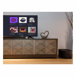 Roku Wireless Speakers (Streambars  TV)  2 Count (Subwoofer)