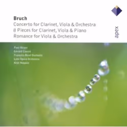 Warner Music Kent Nagano - Bruch: Works for Clarinet & Viola, CD, Classic, CD, Kent Nagano, Physical media, Adult, 1 discs