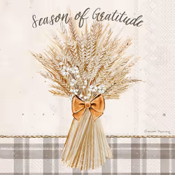 IHR 3-Ply Cocktail Beverage Paper Napkins 20-Count 5 x 5-Inches Harvest Wheat