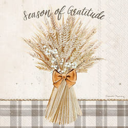 IHR 3-Ply Cocktail Beverage Paper Napkins  20-Count  5 x 5-Inches  Harvest Wheat