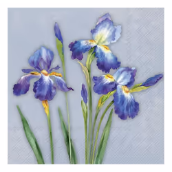 IHR Blue Flowers Spring Print Lunch Paper Napkins 20-Pack Disposable 3-Ply