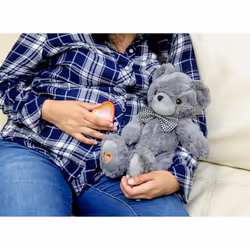 My Baby's Heartbeat Bear Stuffed Animal  20 Sec Recorder for Baby's First Heartbeats  Cute Plush Toy  Re-recordable  Ideal Gift for Baby Showers  Vale