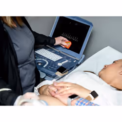 My Baby's Heartbeat Bear Recordable Stuffed Animals 20 sec Heart Voice Recorder for Ultrasounds and Sweet Messages Playback, Perfect Gender Reveal for