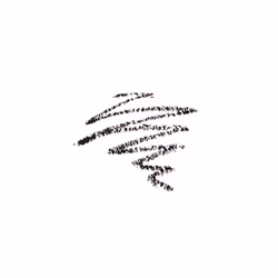 - Brow Definer - Ebony