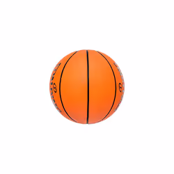 Varsity TF-150 Outdoor Basketball 29.5"