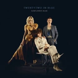ImportCDs Twentytwo In Blue Vinyl Pop rock