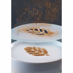 Aerolatte Cappuccino Stencil Set  For Latte Coffee Art  Set of 6 Stenc