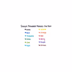 Sharpie 32701 Retractable Permanent Markers  Fine Point  Black  12 Count