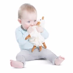 Baby Comforter - Soft Plush Toy with Soother Holder