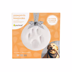 Pearhead PH50009 baby casting/printing kit
