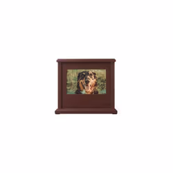 Dog or Cat Personalized Memory Box Keepsake, Pet Urn, Espresso (89007)