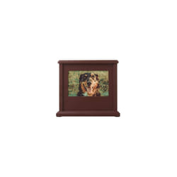 Dog or Cat Personalized Memory Box Keepsake, Pet Urn, Espresso (89007)