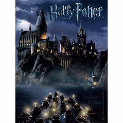 USAopoly World of Harry Potter Contour puzzle 550 pc(s) Television/films