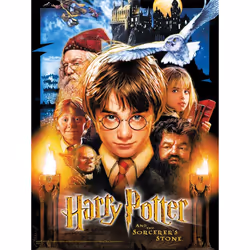 USAopoly Harry Potter and the Sorcerer’s Stone Puzzle 550 Piece Puzzle