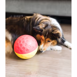 Outward Hound Treat Tumble Interactive Puzzle Dog Toy, Red, Large