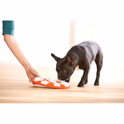 Outward Hound Dog Smart Interactive Treat Puzzle Dog Toy, Orange - Additional view 4