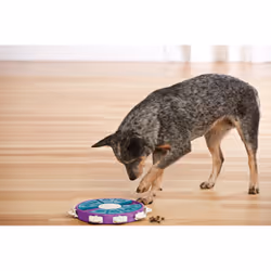 Outward Hound Dog Twister Interactive Treat Puzzle Dog Toy, Purple
