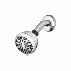 Waterpik  PowerPulsePlus Chrome Six settings Wallmount Showerhead, 2 Gpm